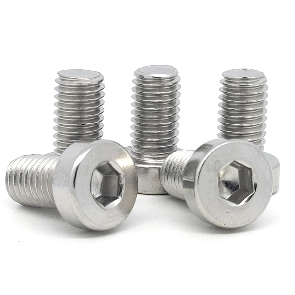 Professional Factory DIN912 Stainless Steel Hex Socket Head Allen Bolt