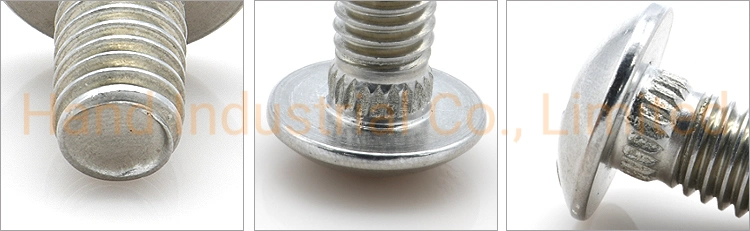 Wholesale 18-8 Stainless Steel M3 M6 Phillips Mushroom Head SS304 Knurled Oval Neck Head M8 Carriage Bolt