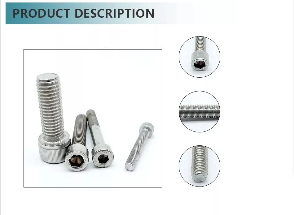 Stainless Steel SS304 SS316 DIN 912/Hex Socket Head/Carriage Bolt DIN603/Flange Bolt DIN6921/ T Hammer Bolt/ Eye Bolt DIN444 / U Bolt / Thread Allen Bolt