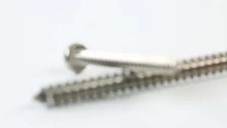 Porcellana Vite per legno esagonale autofilettante in acciaio al carbonio zincato Vite per legno esagonale Vite per legno DIN571 Vite a testa esagonale grande